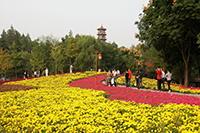 紅豆集團紅豆文化旅游規劃